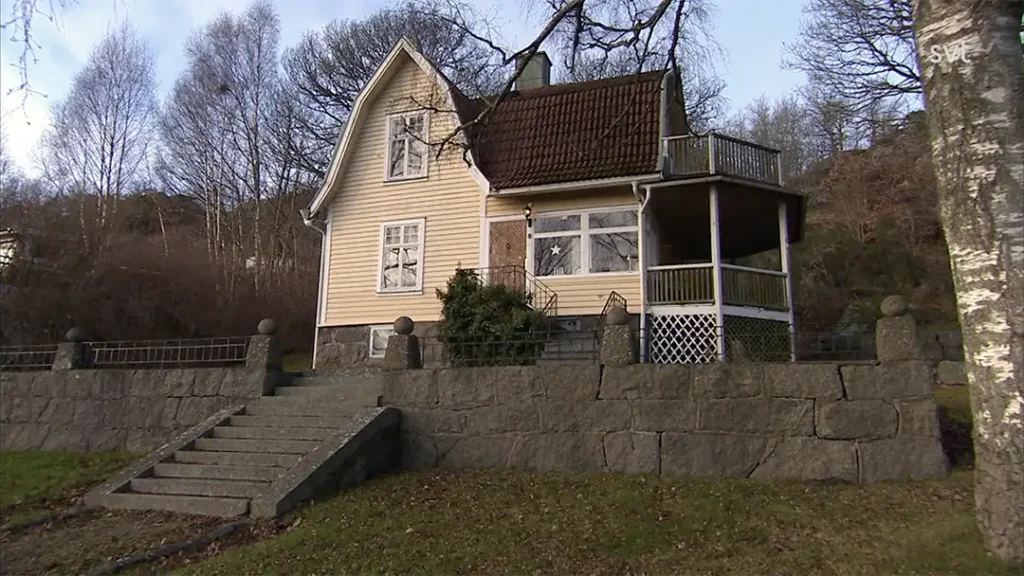 Vad hände sen - Husdrömmar 2015-1