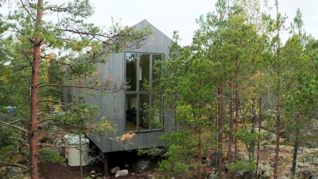 Stiligt - En modern grå trästuga med stora fönster är förhöjd över marken och omgiven av täta vintergröna träd.
